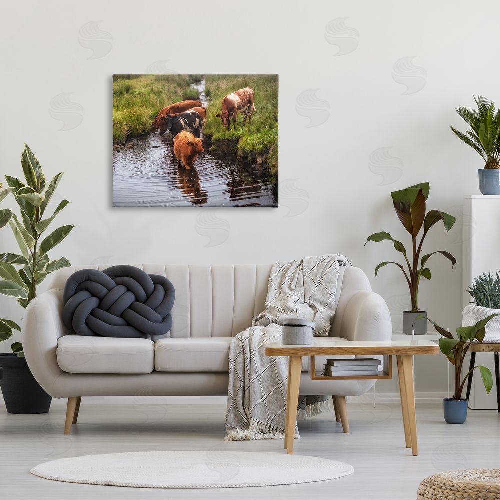 James Dobson Rural Cattle Enjoying Stream Water Between Grassland Canvas Wall Art Print in Room