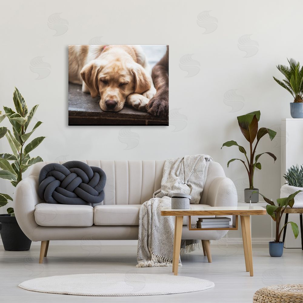 James Dobson Sweet Sleeping Dogs Resting Paws Animal Photography Canvas Wall Art Print in Room