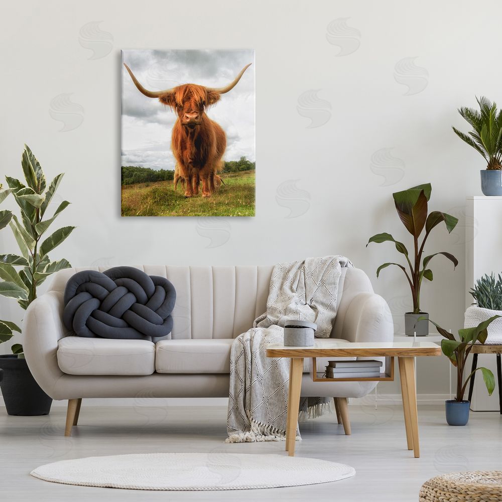 James Dobson Highland Cattle Long Horns Grazing Farm Ranch  Canvas Wall Art Print in Room