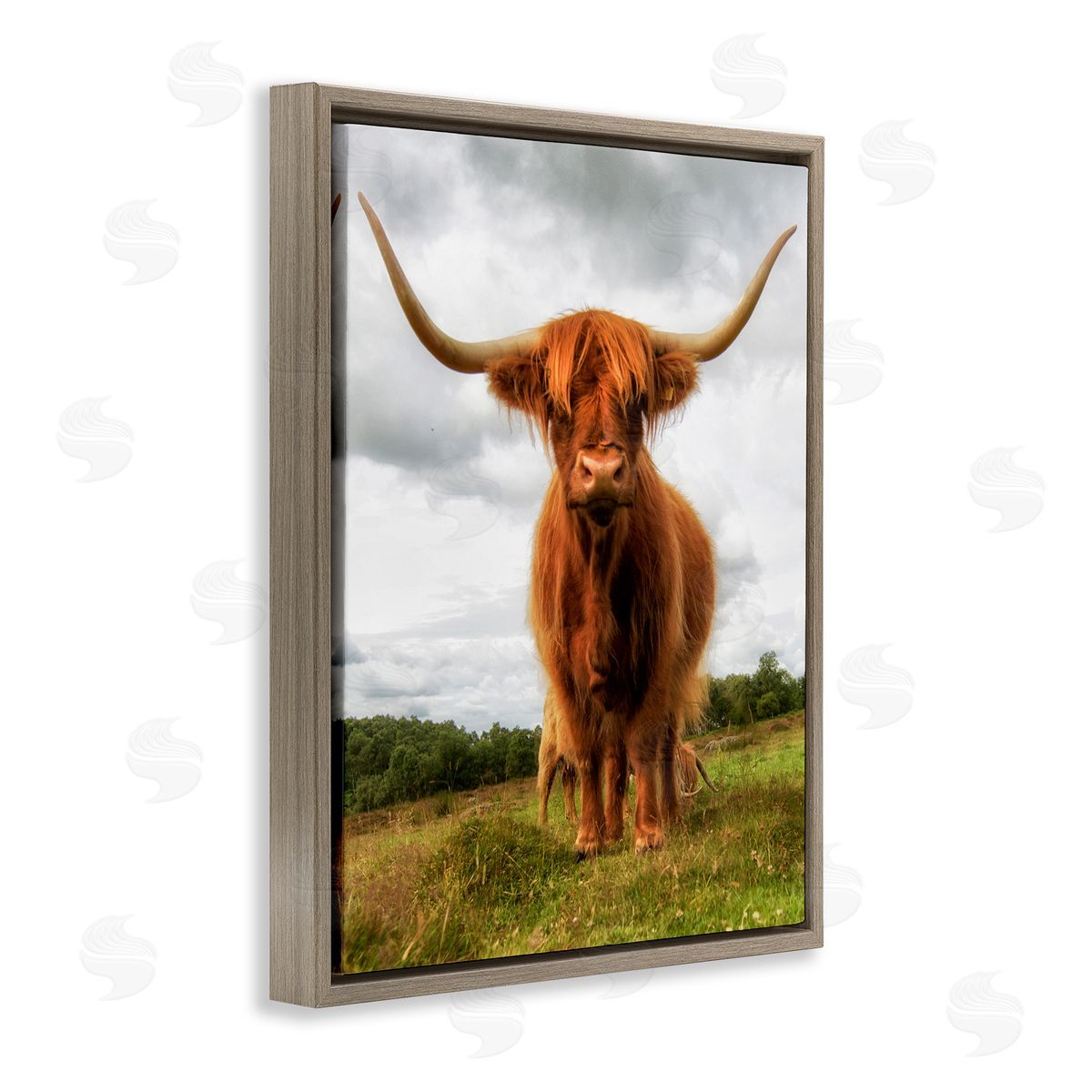 James Dobson Highland Cattle Long Horns Grazing Farm Ranch  Brown Floating Frame Canvas Wall Art Print