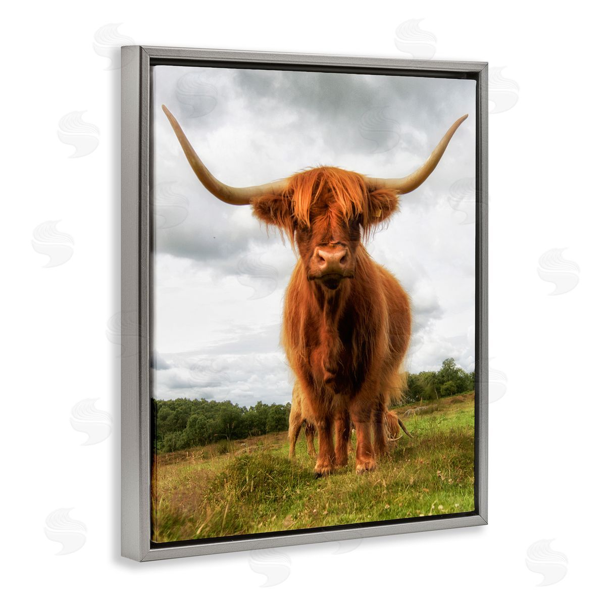 James Dobson Highland Cattle Long Horns Grazing Farm Ranch  Gray Floating Frame Canvas Wall Art Print