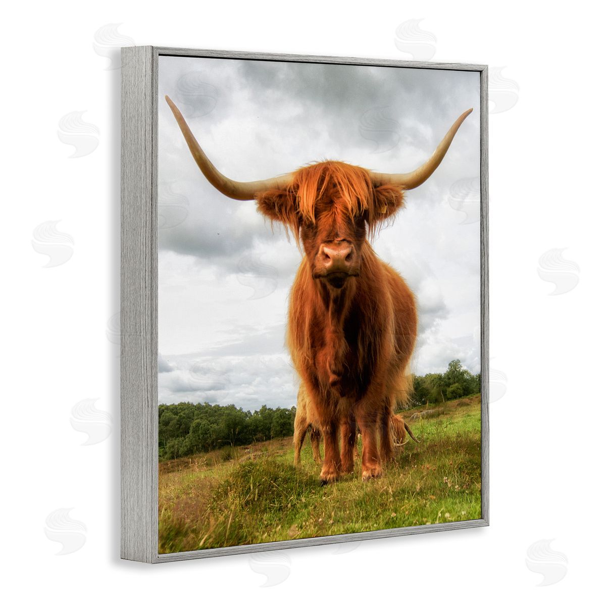 James Dobson Highland Cattle Long Horns Grazing Farm Ranch  Gray Framed Giclee Wall Art Print
