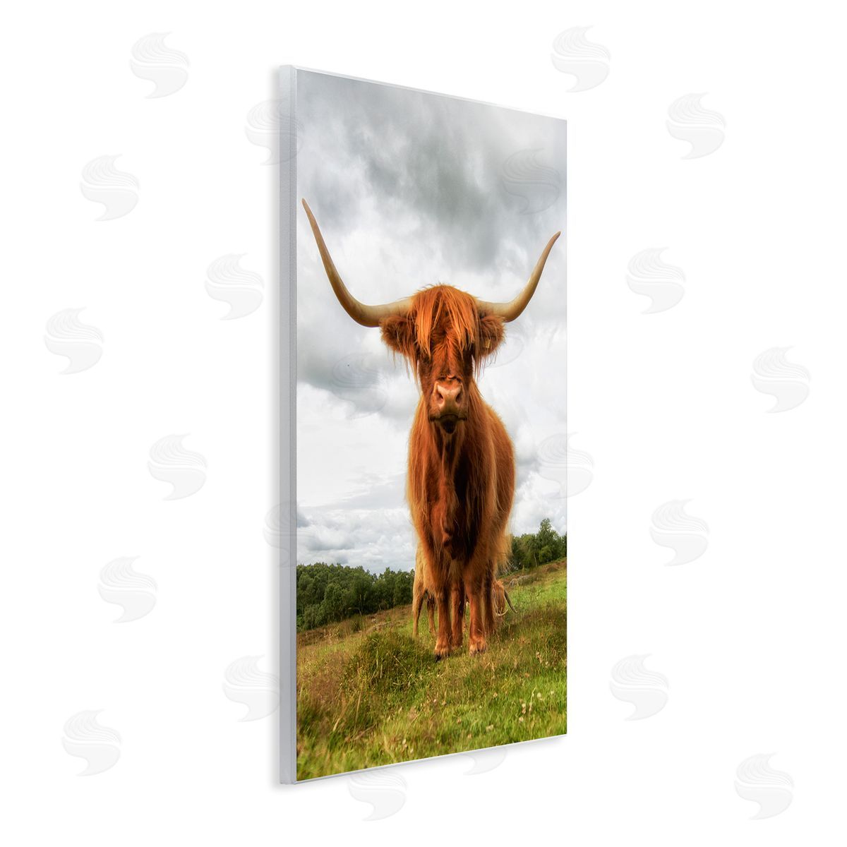 James Dobson Highland Cattle Long Horns Grazing Farm Ranch  Wall Plaque Art Print