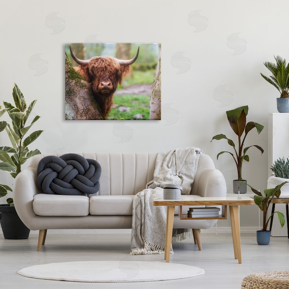 James Dobson Highland Cattle Peering Between Trees Lush Nature Scene Canvas Wall Art Print in Room