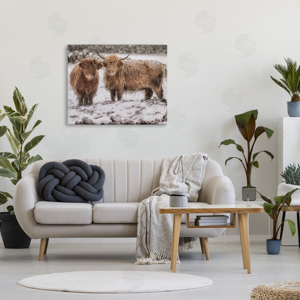 James Dobson Snow Dusted Highland Cattle Niveous Nature Landscape Canvas Wall Art Print in Room