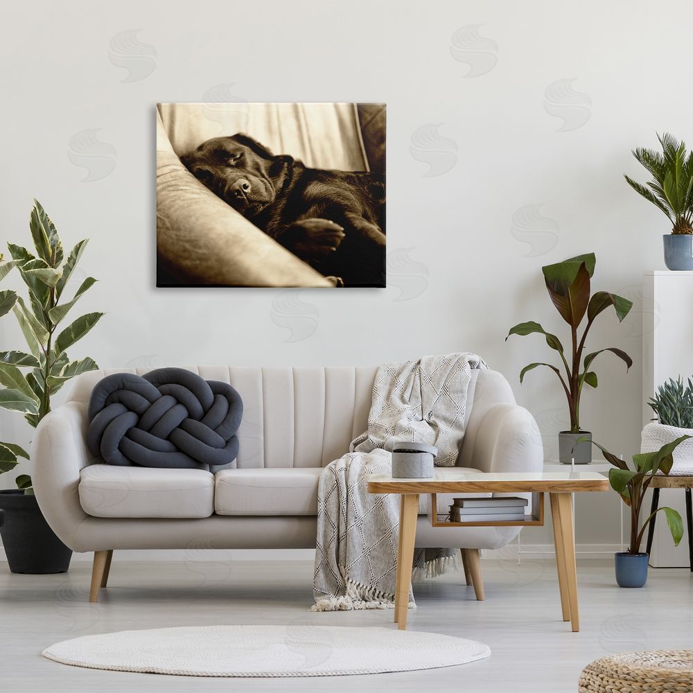 James Dobson Cuddling Labrador Dog Sleeping Cozy Sepia Photography Canvas Wall Art Print in Room