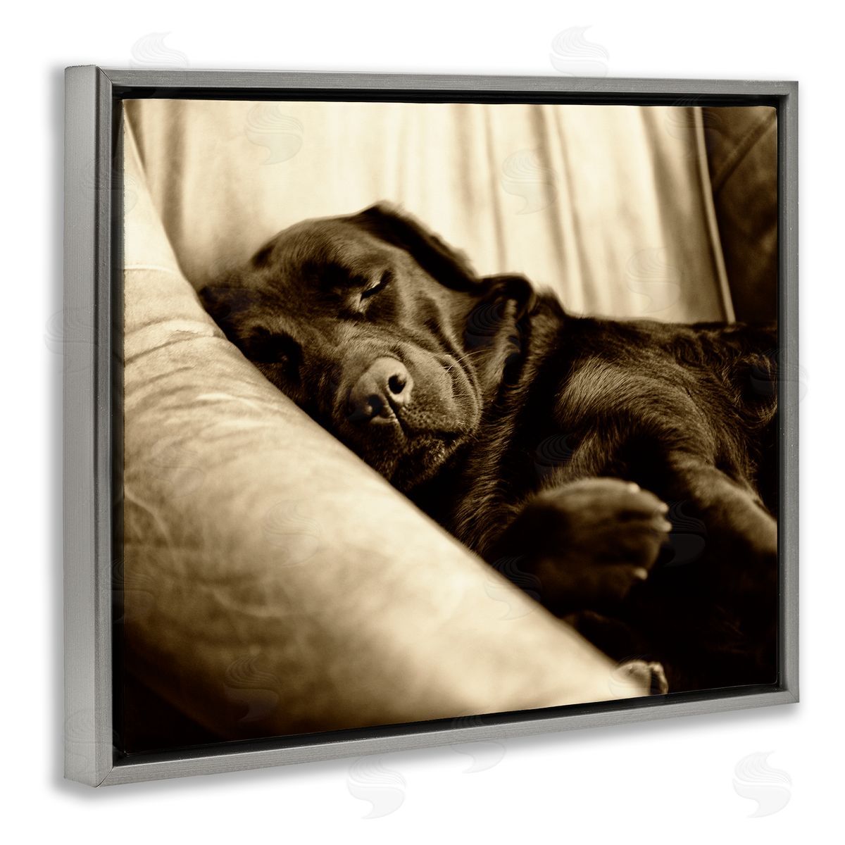 James Dobson Cuddling Labrador Dog Sleeping Cozy Sepia Photography Gray Floating Frame Canvas Wall Art Print