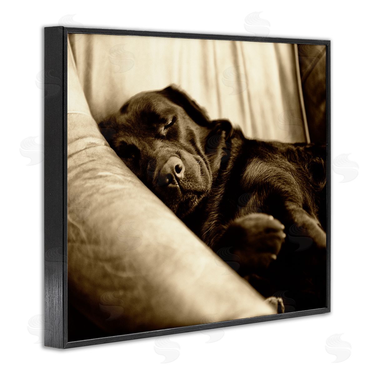 James Dobson Cuddling Labrador Dog Sleeping Cozy Sepia Photography Black Framed Giclee Wall Art Print