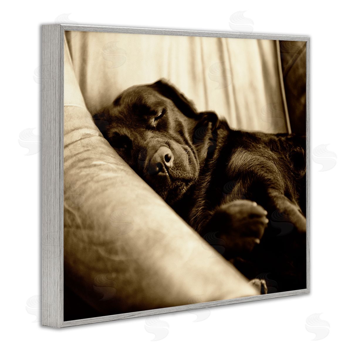 James Dobson Cuddling Labrador Dog Sleeping Cozy Sepia Photography Gray Framed Giclee Wall Art Print