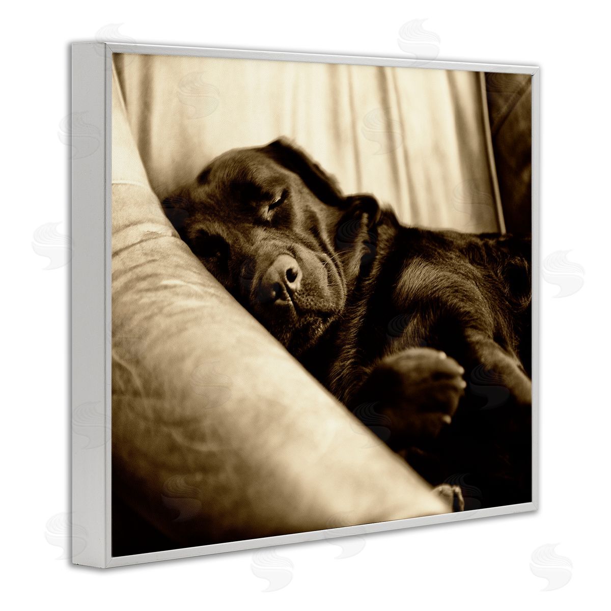 James Dobson Cuddling Labrador Dog Sleeping Cozy Sepia Photography White Framed Giclee Wall Art Print