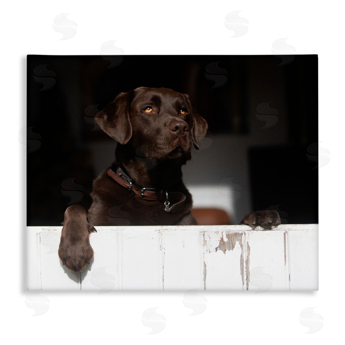 James Dobson Labrador Dog Overlooking Farm Leaning Barn Door Stretched Canvas Wall Art Print