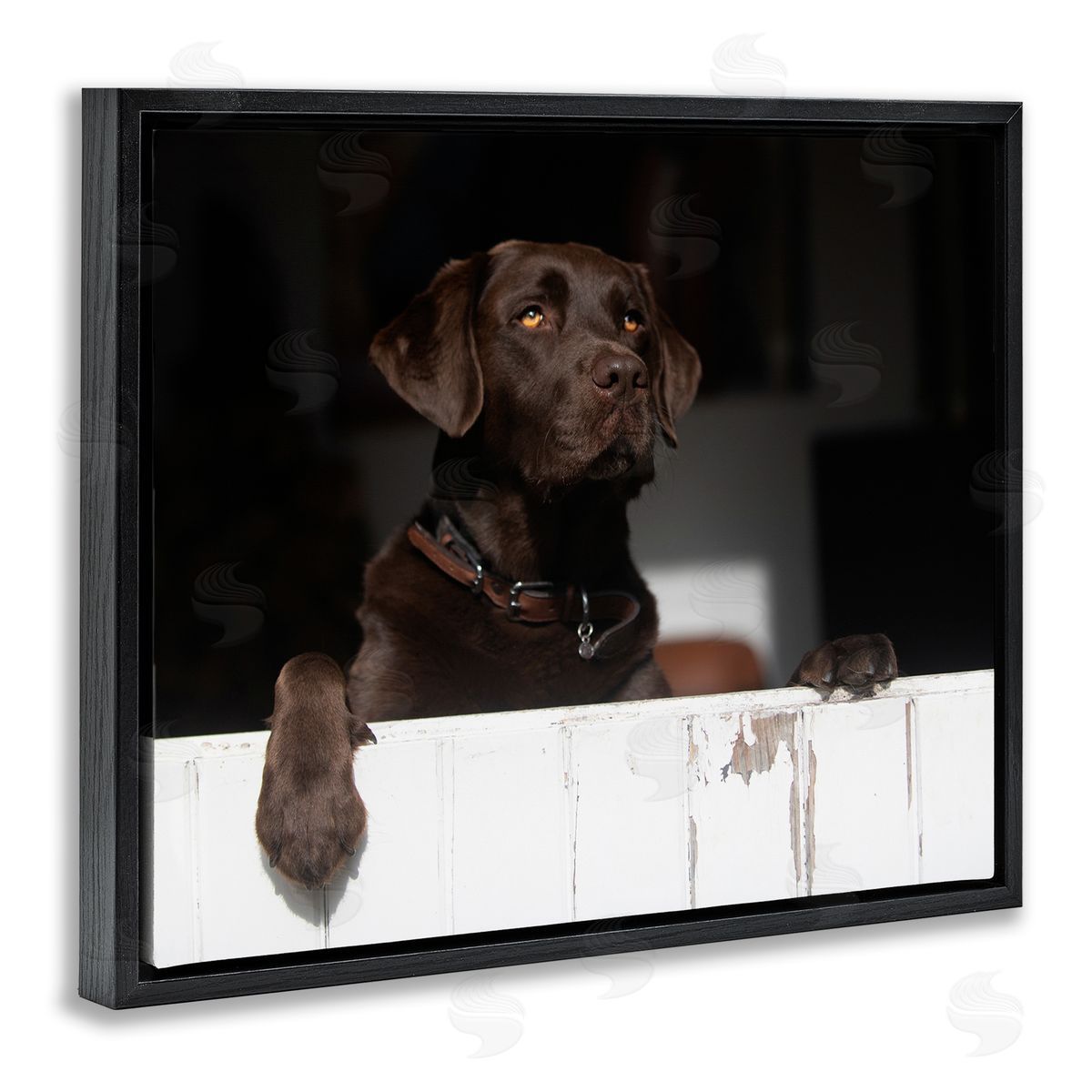 James Dobson Labrador Dog Overlooking Farm Leaning Barn Door Black Floating Frame Canvas Wall Art Print