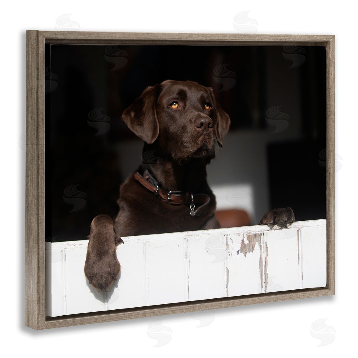 James Dobson Labrador Dog Overlooking Farm Leaning Barn Door Brown Floating Frame Canvas Wall Art Print