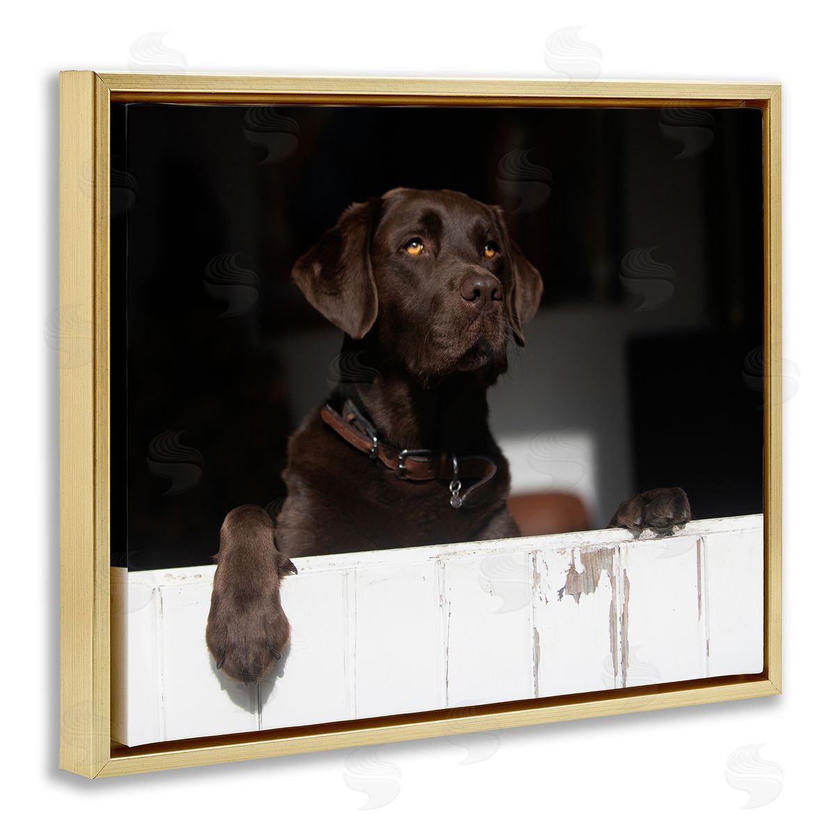 James Dobson Labrador Dog Overlooking Farm Leaning Barn Door Gold Floating Frame Canvas Wall Art Print