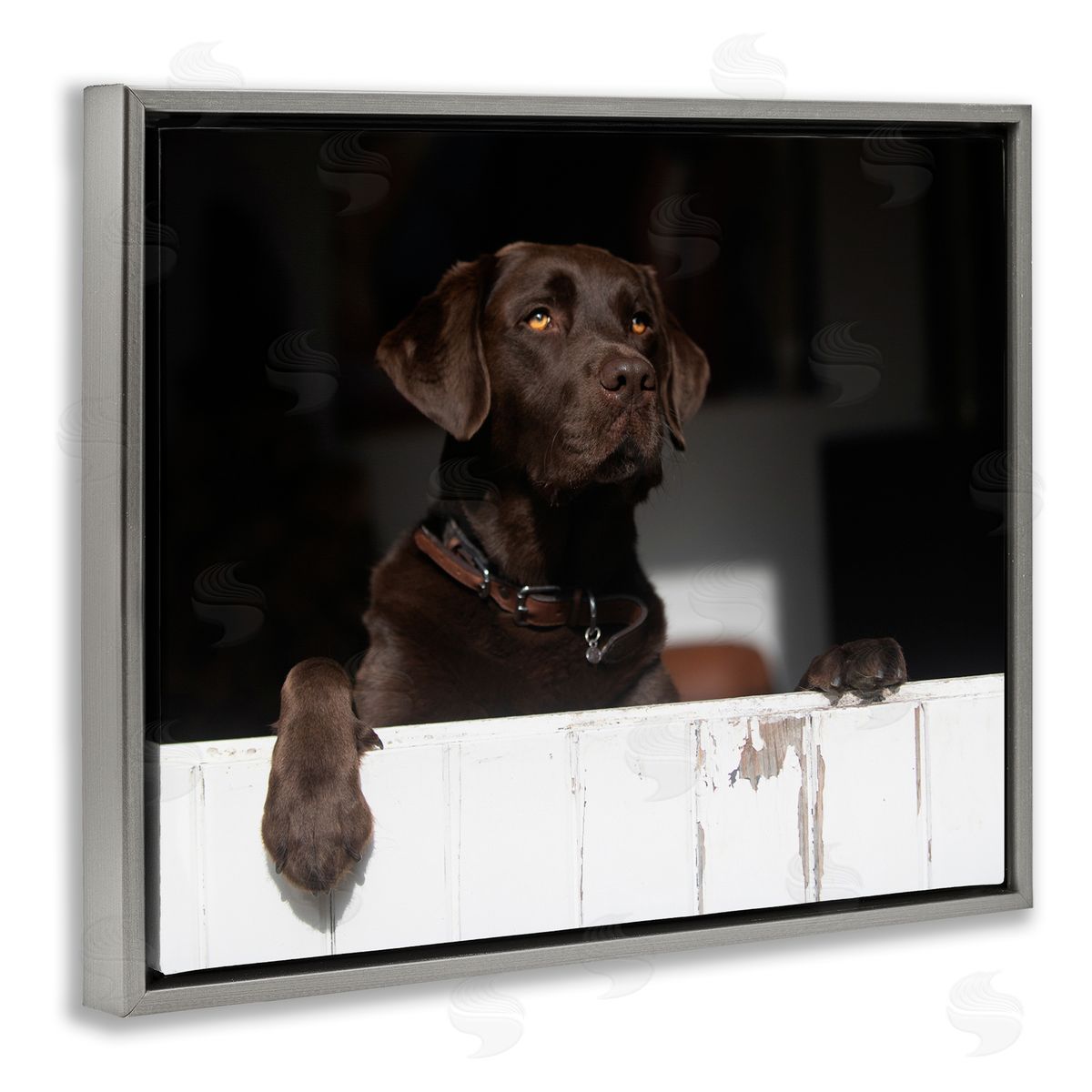 James Dobson Labrador Dog Overlooking Farm Leaning Barn Door Gray Floating Frame Canvas Wall Art Print