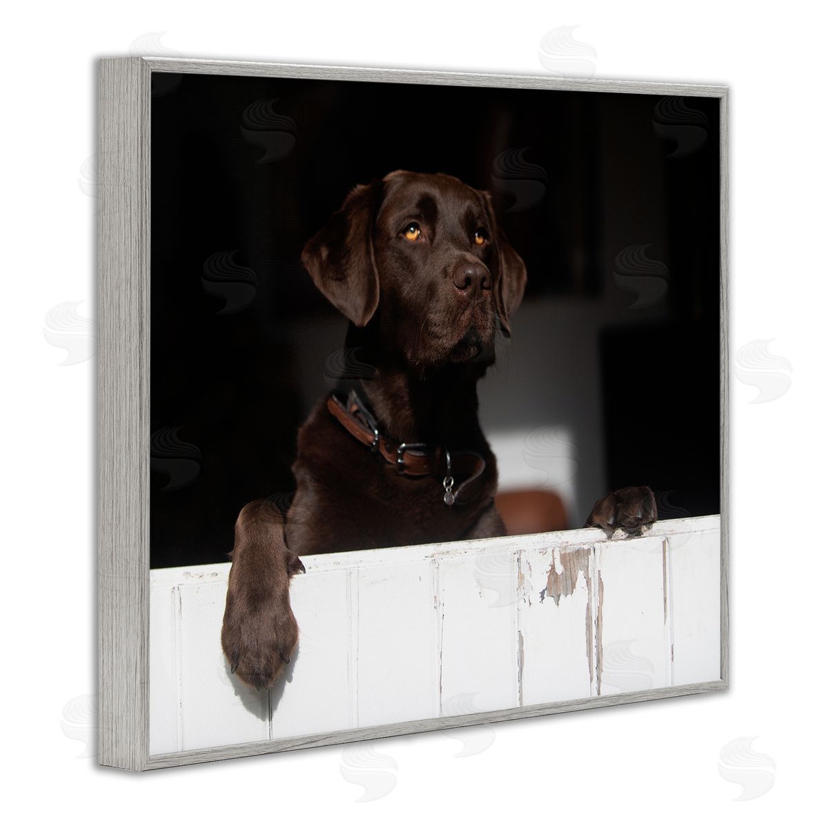 James Dobson Labrador Dog Overlooking Farm Leaning Barn Door Gray Framed Giclee Wall Art Print