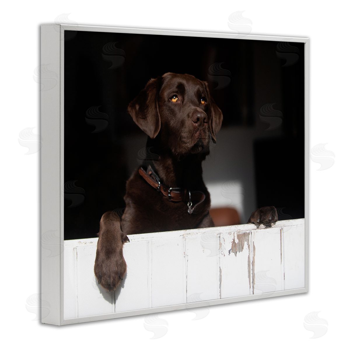 James Dobson Labrador Dog Overlooking Farm Leaning Barn Door White Framed Giclee Wall Art Print