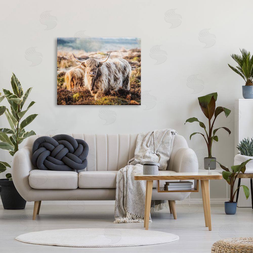 James Dobson Pleasant Highland Cattle Grazing Mossy Pasture At Dawn Canvas Wall Art Print in Room