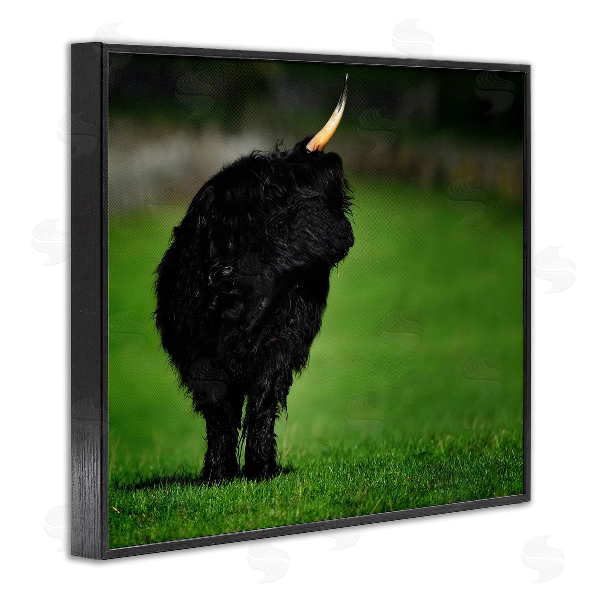 James Dobson Fuzzy Yak Looking Away Lush Grass Field Black Framed Giclee Wall Art Print