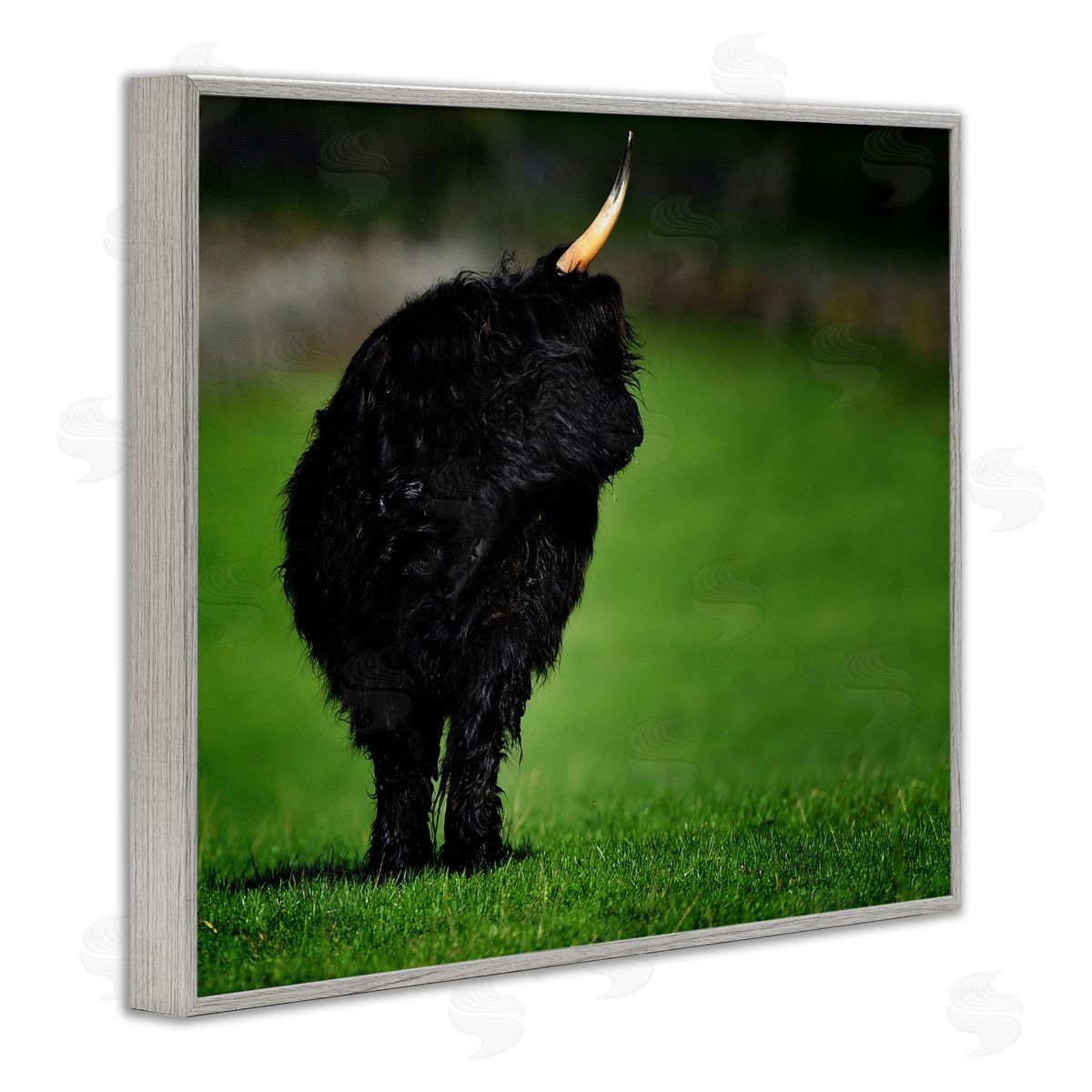 James Dobson Fuzzy Yak Looking Away Lush Grass Field Gray Framed Giclee Wall Art Print