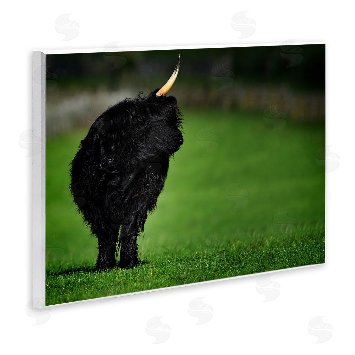 James Dobson Fuzzy Yak Looking Away Lush Grass Field Wall Plaque Art Print