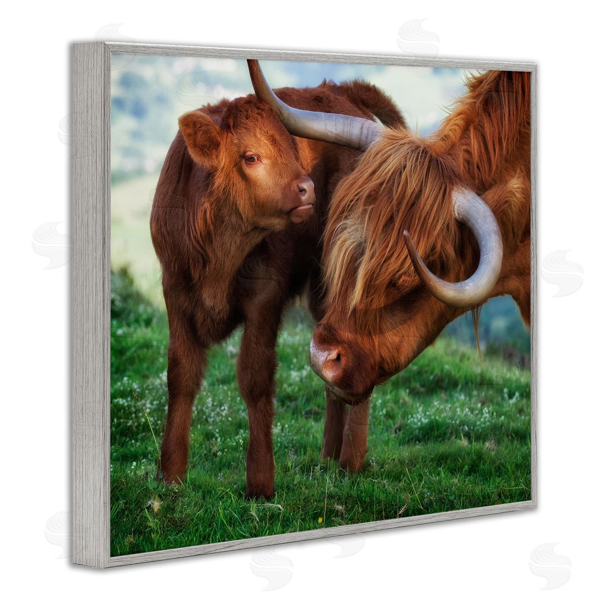 James Dobson Loving Longhorn Cattle Nuzzling Calf Heartwarming Animals Gray Framed Giclee Wall Art Print