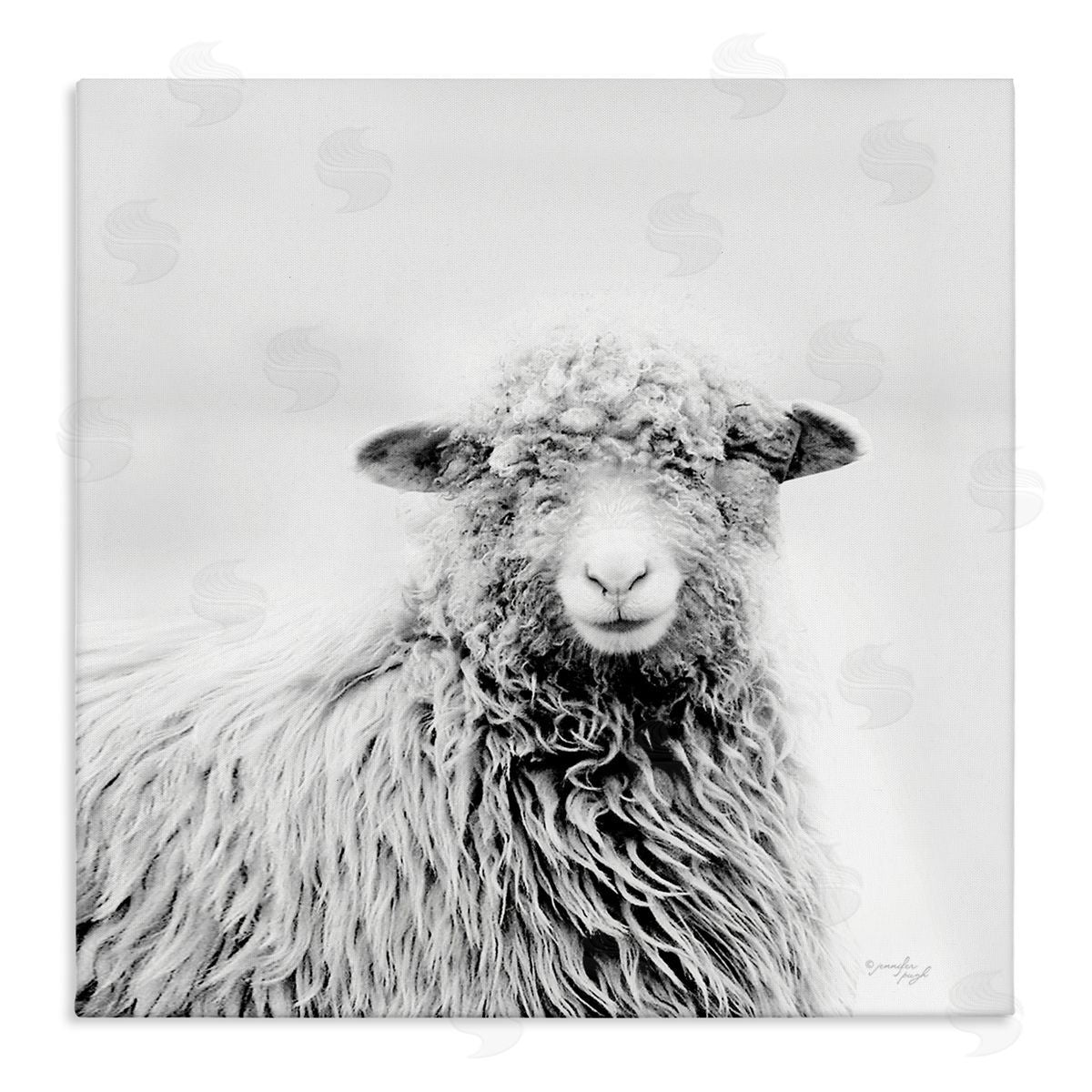 Jennifer Pugh Smiling Sheep Face Monochrome Farm Portrait Stretched Canvas Wall Art Print