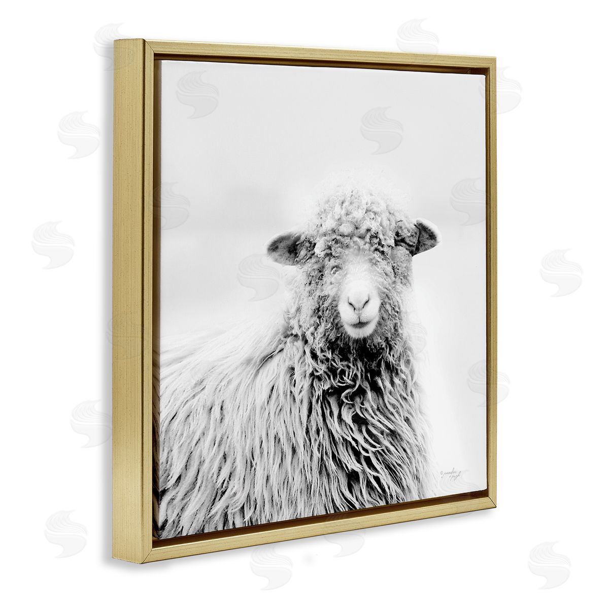 Jennifer Pugh Smiling Sheep Face Monochrome Farm Portrait Gold Floating Frame Canvas Wall Art Print