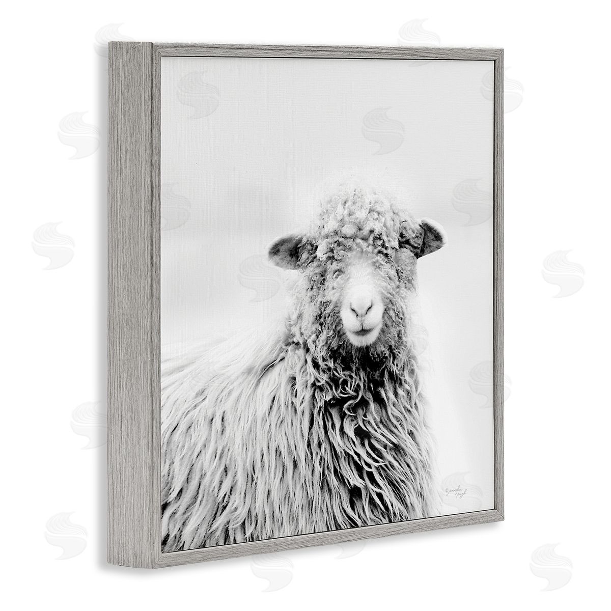 Jennifer Pugh Smiling Sheep Face Monochrome Farm Portrait Gray Framed Glicee Wall Art Print