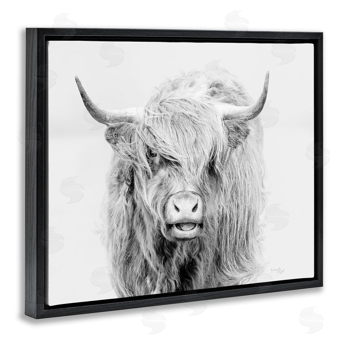Jennifer Pugh Expressive Highland Cattle Monochrome Animal Portrait Black Floating Frame Canvas Wall Art Print