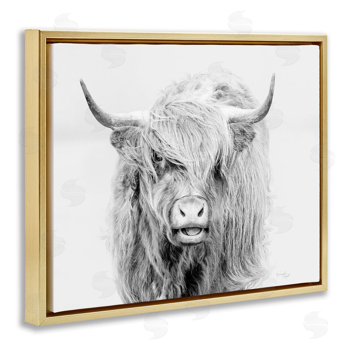 Jennifer Pugh Expressive Highland Cattle Monochrome Animal Portrait Gold Floating Frame Canvas Wall Art Print