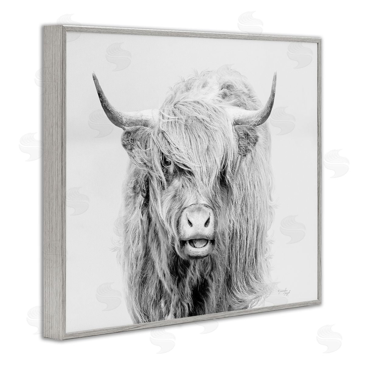 Jennifer Pugh Expressive Highland Cattle Monochrome Animal Portrait Gray Framed Giclee Wall Art Print