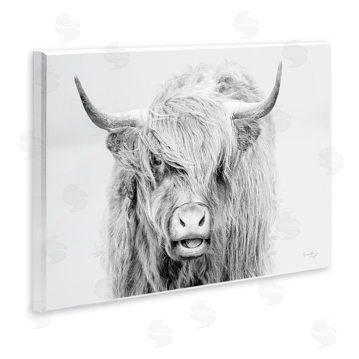 Jennifer Pugh Expressive Highland Cattle Monochrome Animal Portrait Wall Plaque Art Print