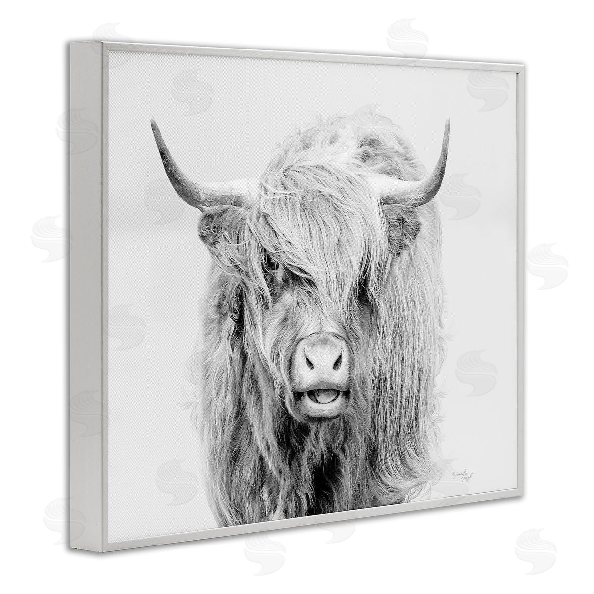 Jennifer Pugh Expressive Highland Cattle Monochrome Animal Portrait White Framed Giclee Wall Art Print