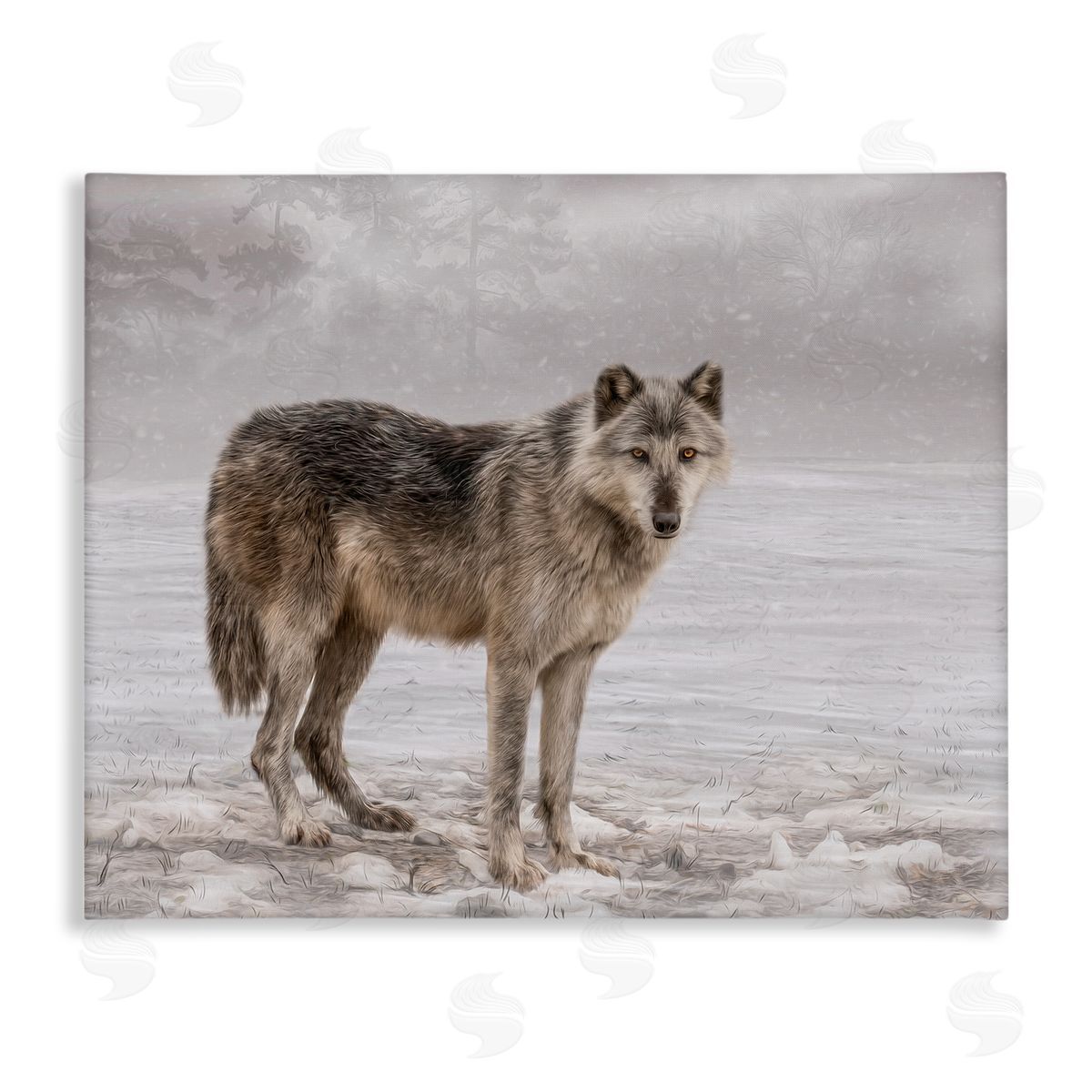 Kelley Parker Lone Coyote Wolf Snowy Field Landscape Intricate Details Stretched Canvas Wall Art Print