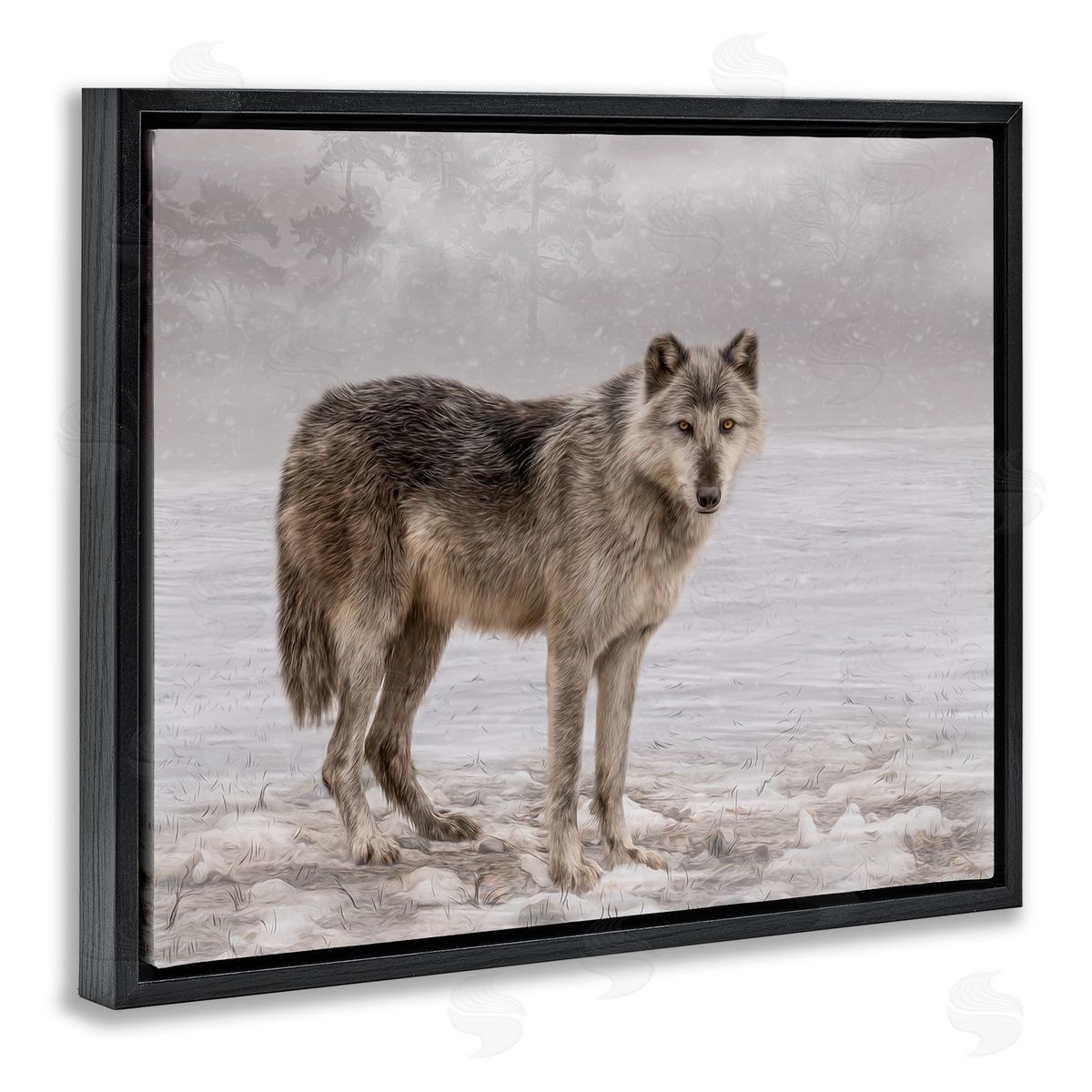 Kelley Parker Lone Coyote Wolf Snowy Field Landscape Intricate Details Black Floating Frame Canvas Wall Art Print