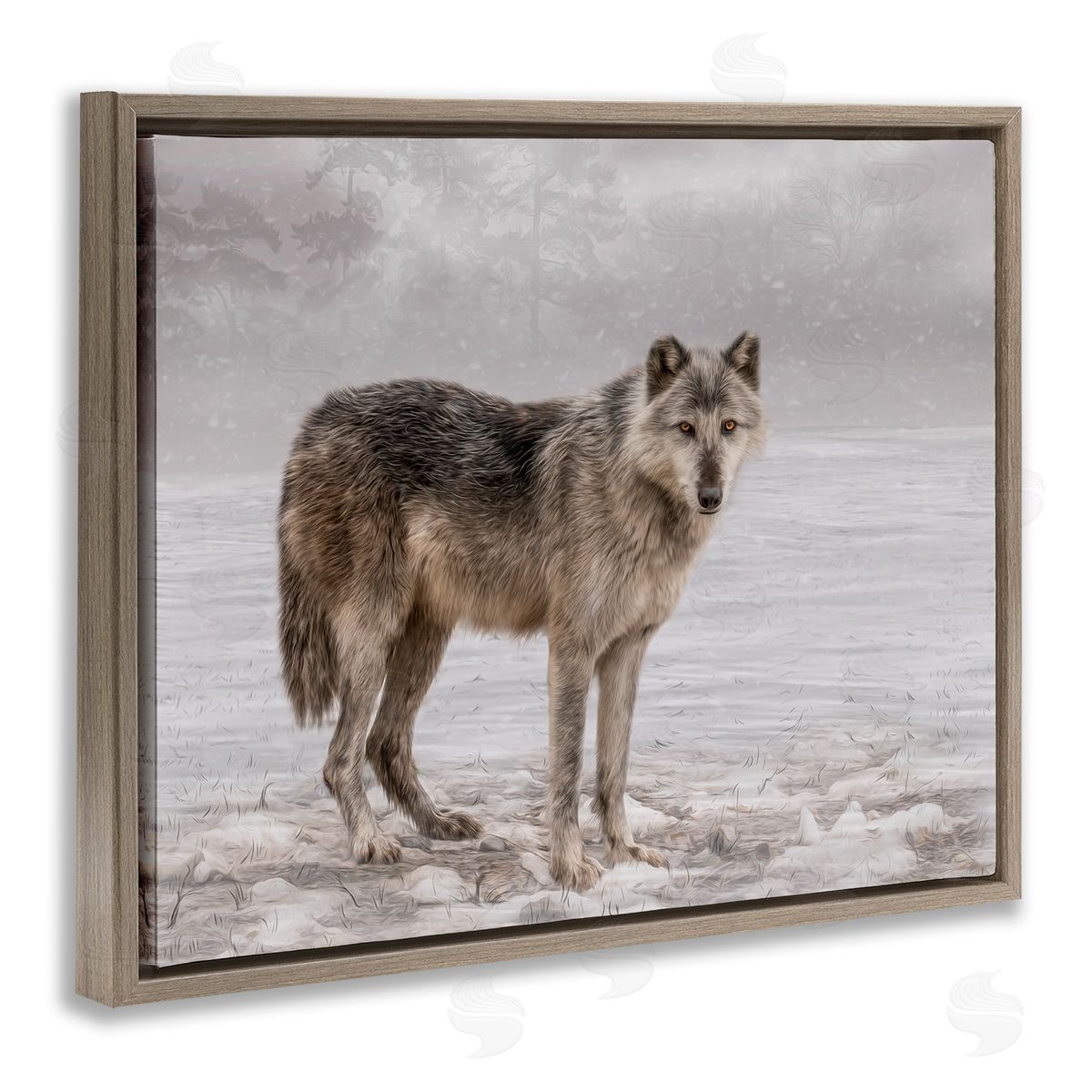Kelley Parker Lone Coyote Wolf Snowy Field Landscape Intricate Details Brown Floating Frame Canvas Wall Art Print