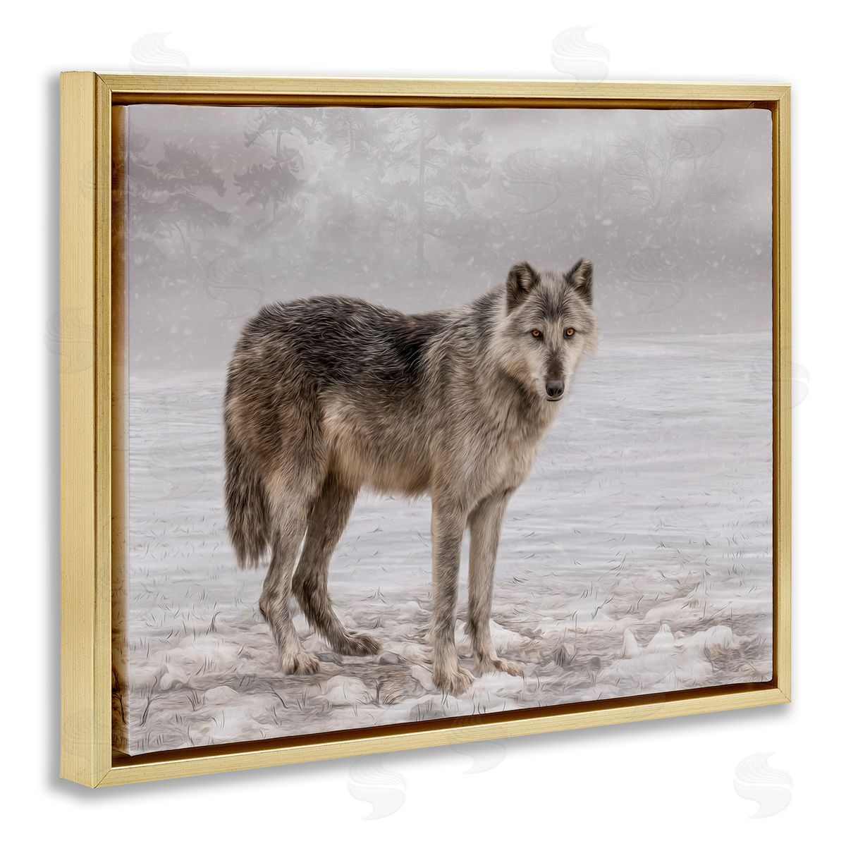 Kelley Parker Lone Coyote Wolf Snowy Field Landscape Intricate Details Gold Floating Frame Canvas Wall Art Print