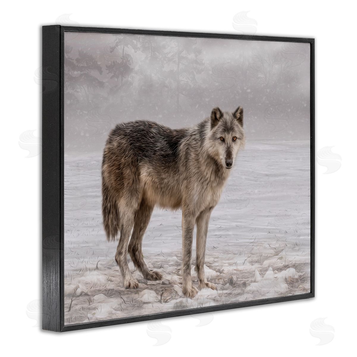 Kelley Parker Lone Coyote Wolf Snowy Field Landscape Intricate Details Black Framed Giclee Wall Art Print