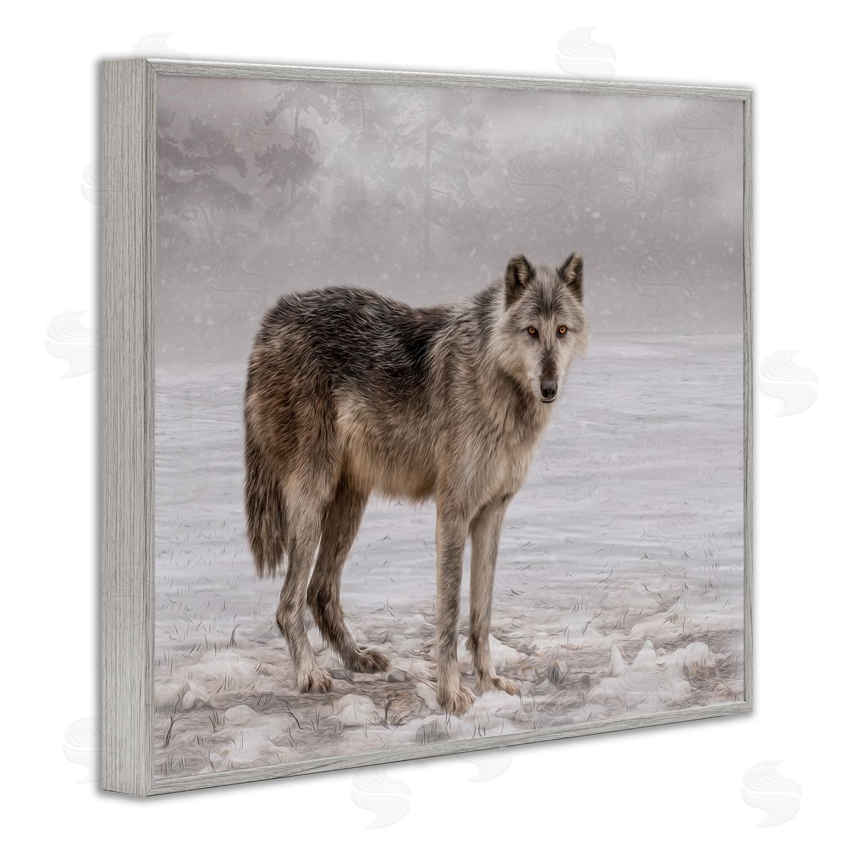 Kelley Parker Lone Coyote Wolf Snowy Field Landscape Intricate Details Gray Framed Giclee Wall Art Print