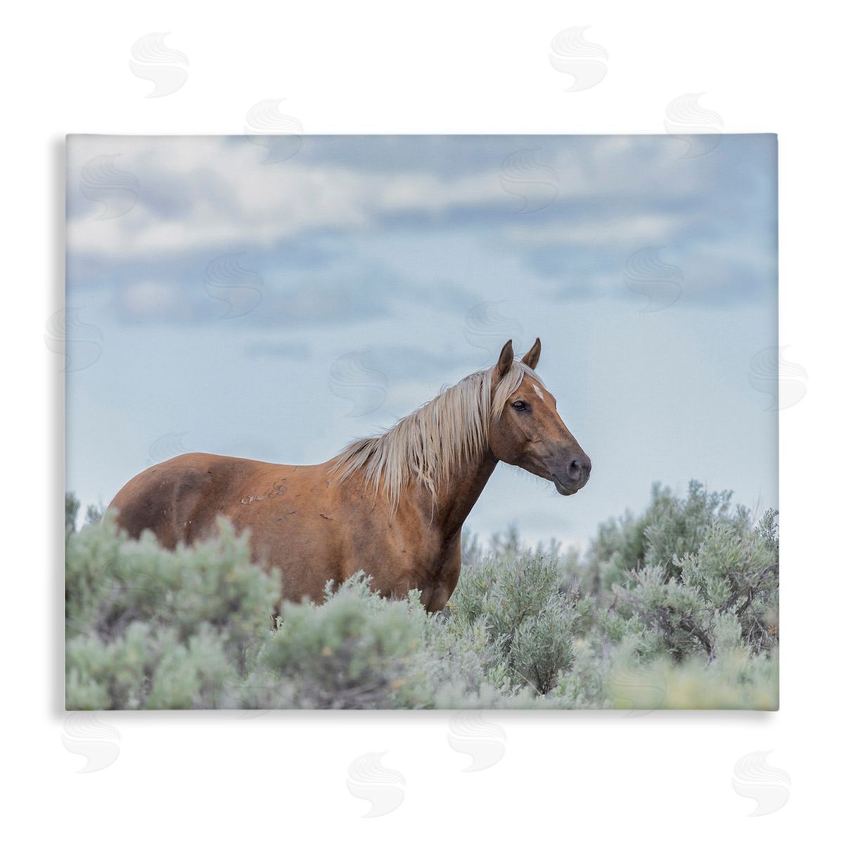 Larry McFerrin Stallion Horse Among Bushes Clear Blue Sky Stretched Canvas Wall Art Print