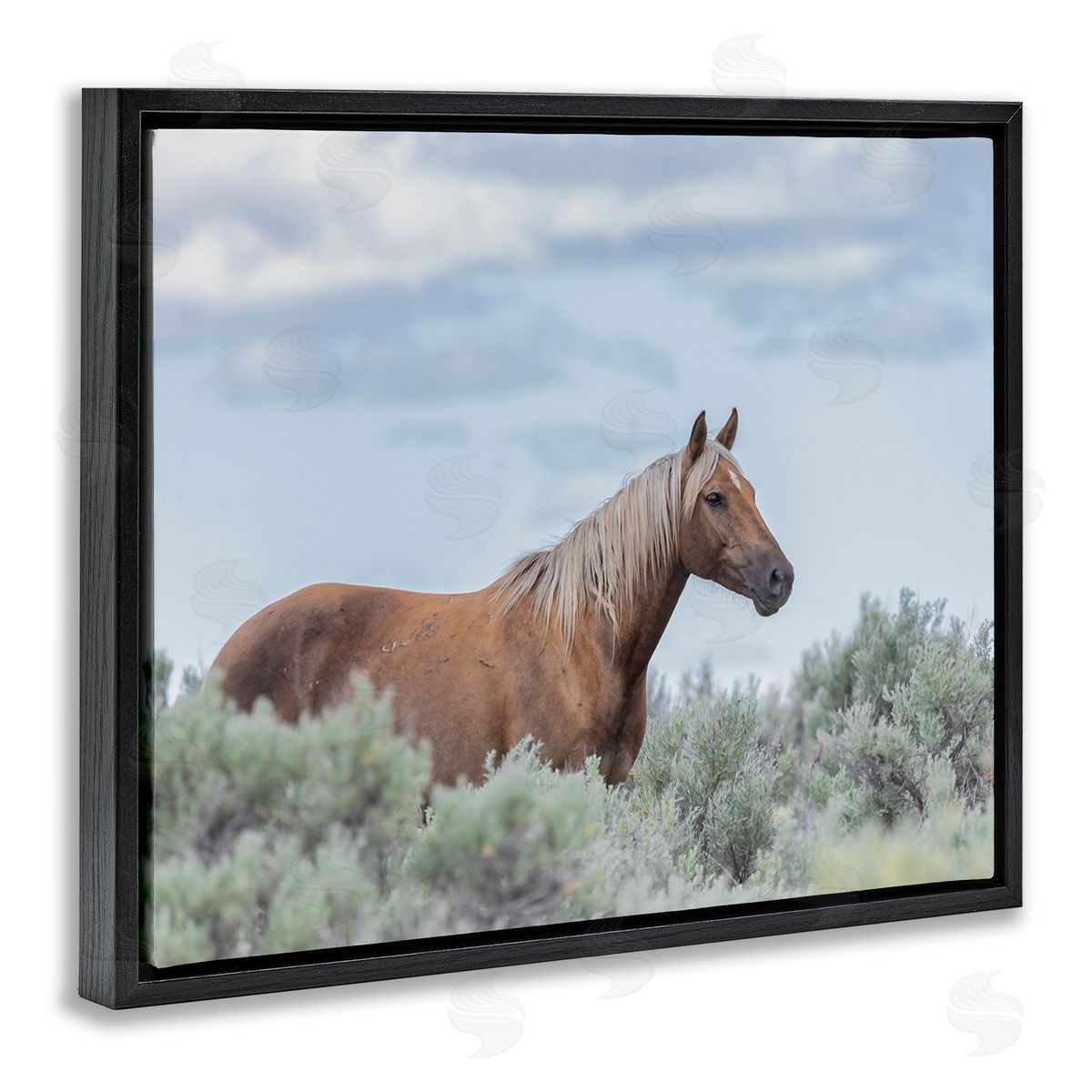 Larry McFerrin Stallion Horse Among Bushes Clear Blue Sky Black Floating Frame Canvas Wall Art Print