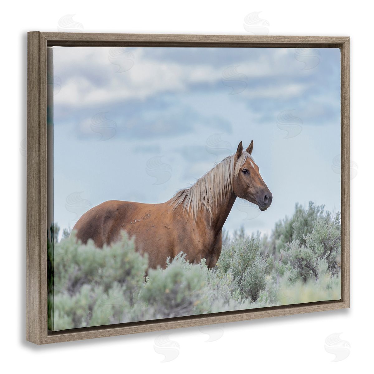 Larry McFerrin Stallion Horse Among Bushes Clear Blue Sky Brown Floating Frame Canvas Wall Art Print