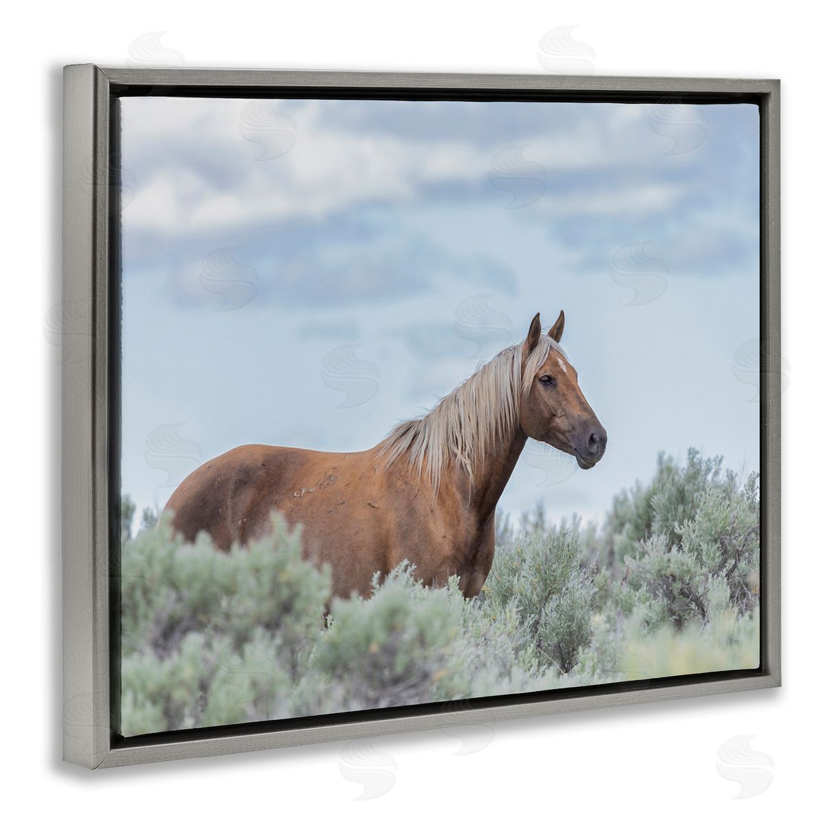 Larry McFerrin Stallion Horse Among Bushes Clear Blue Sky Gray Floating Frame Canvas Wall Art Print