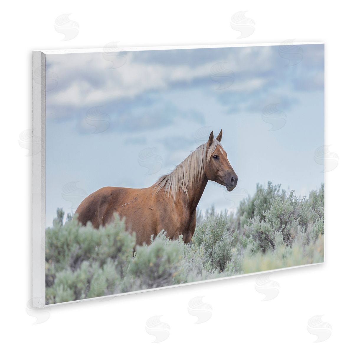 Larry McFerrin Stallion Horse Among Bushes Clear Blue Sky Wall Plaque Art Print