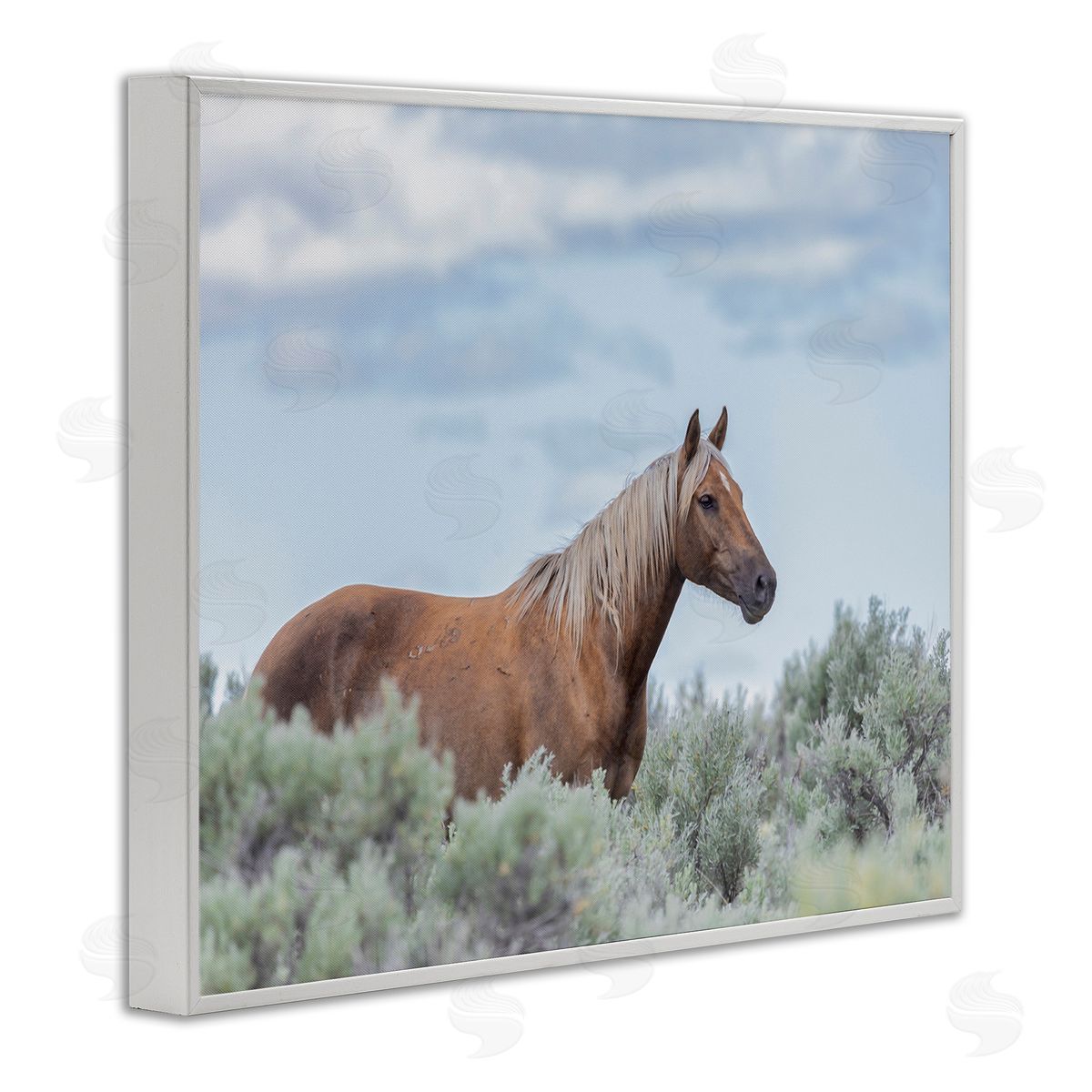 Larry McFerrin Stallion Horse Among Bushes Clear Blue Sky White Framed Giclee Wall Art Print