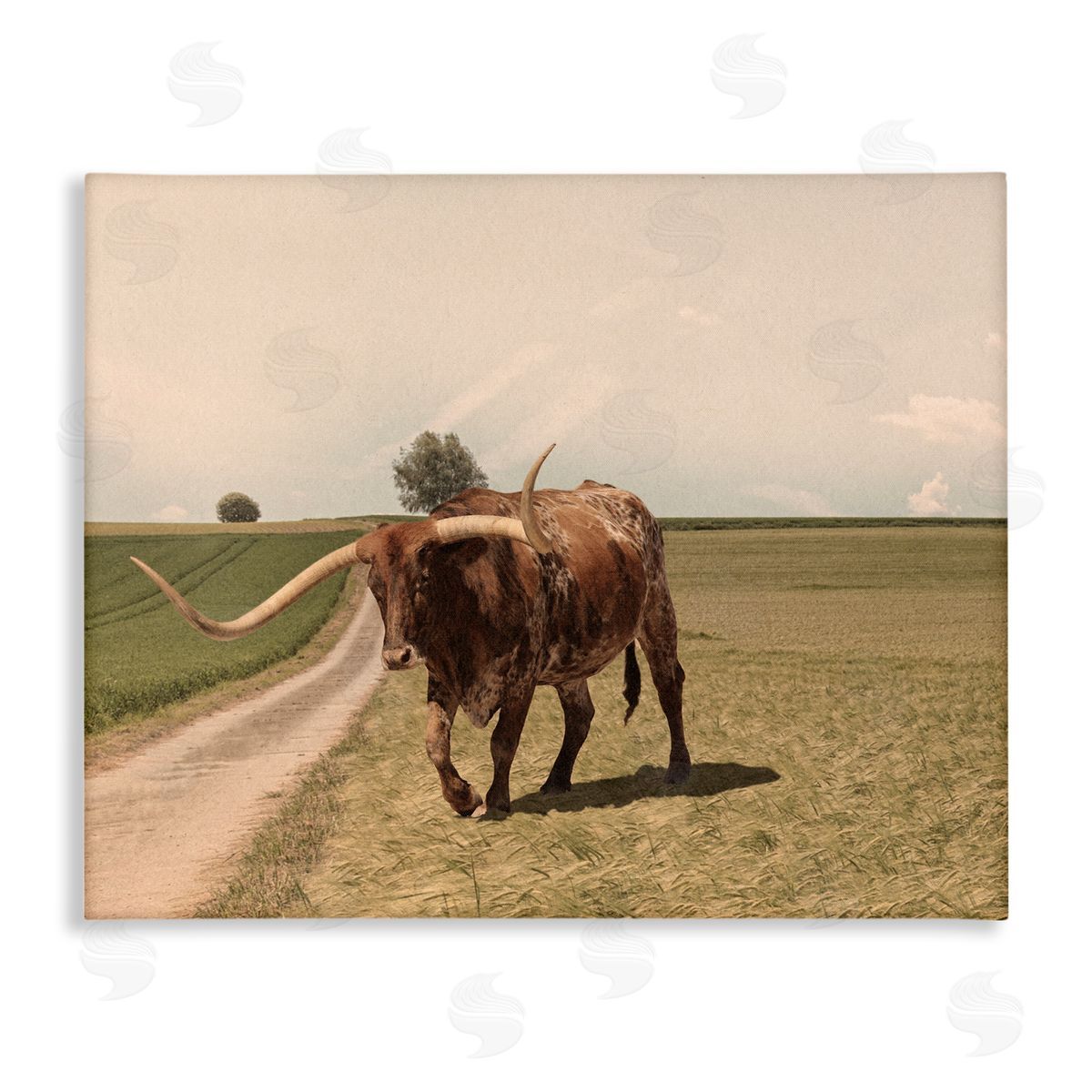 Marcus Prime Longhorn Cattle Grazing Scenic Countryside Landscape Stretched Canvas Wall Art Print