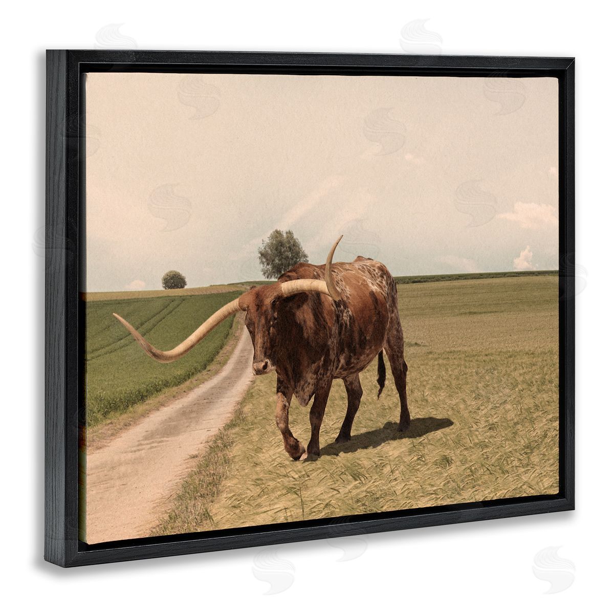 Marcus Prime Longhorn Cattle Grazing Scenic Countryside Landscape Black Floating Frame Canvas Wall Art Print