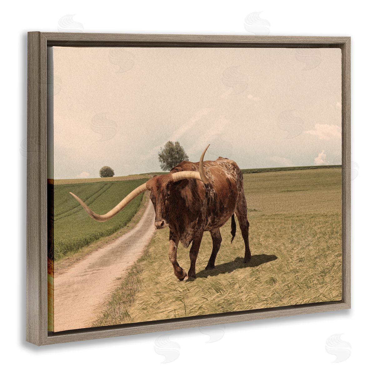 Marcus Prime Longhorn Cattle Grazing Scenic Countryside Landscape Brown Floating Frame Canvas Wall Art Print