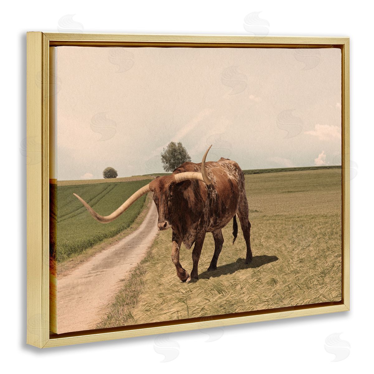 Marcus Prime Longhorn Cattle Grazing Scenic Countryside Landscape Gold Floating Frame Canvas Wall Art Print